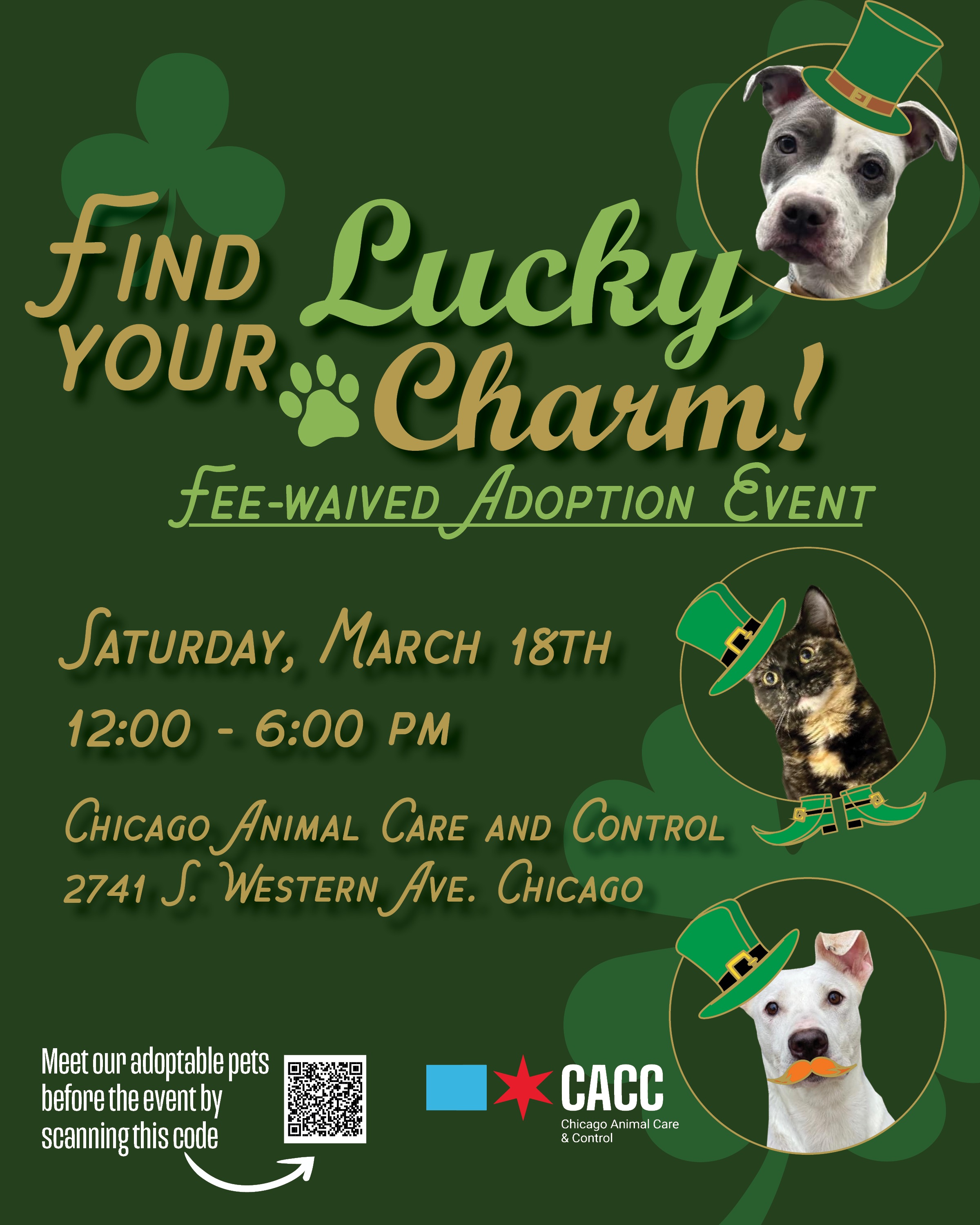 City of Chicago :: Adopt a Pet City of Chicago :: Adopt a Pet