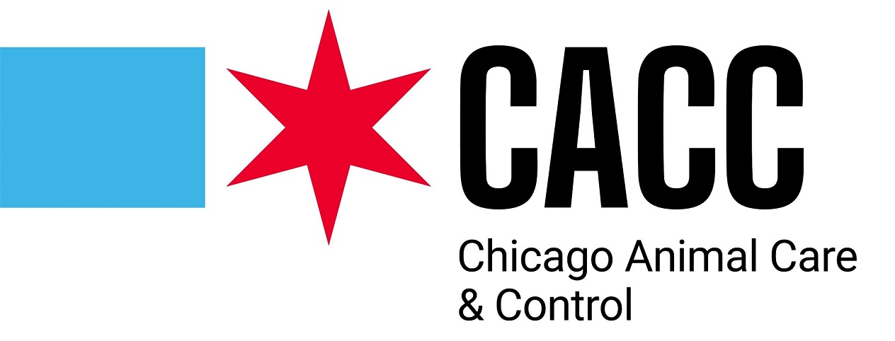 Main Logo