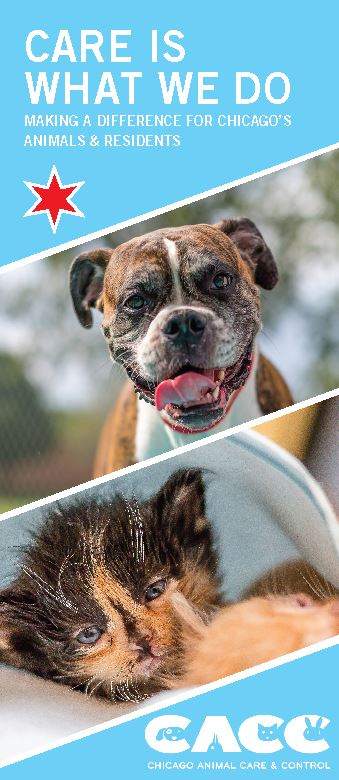 City Of Chicago Animal Care And Control