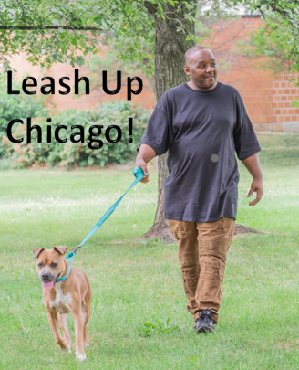 Leash Up Campaign