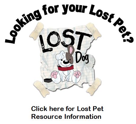 Lost Pet Resource Info