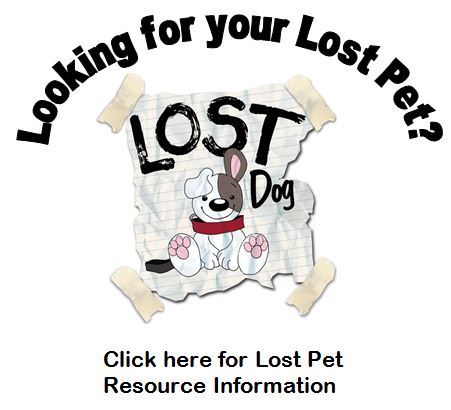 Cacc lost best sale dogs