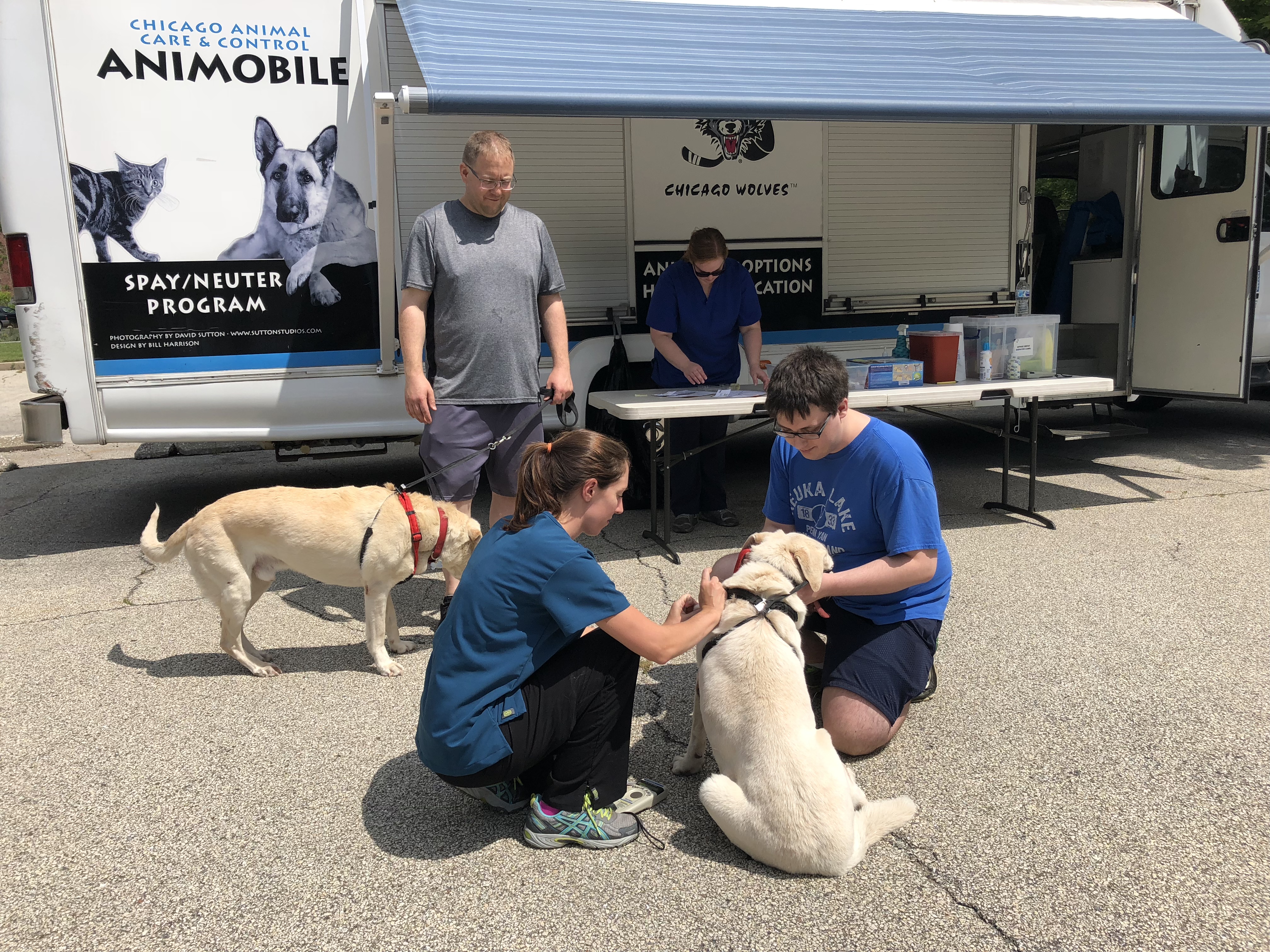 vaccination dog near me