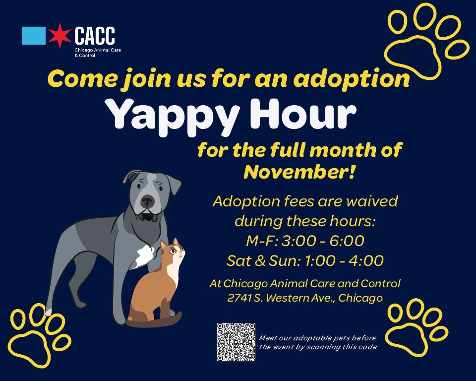 November Adoption Event