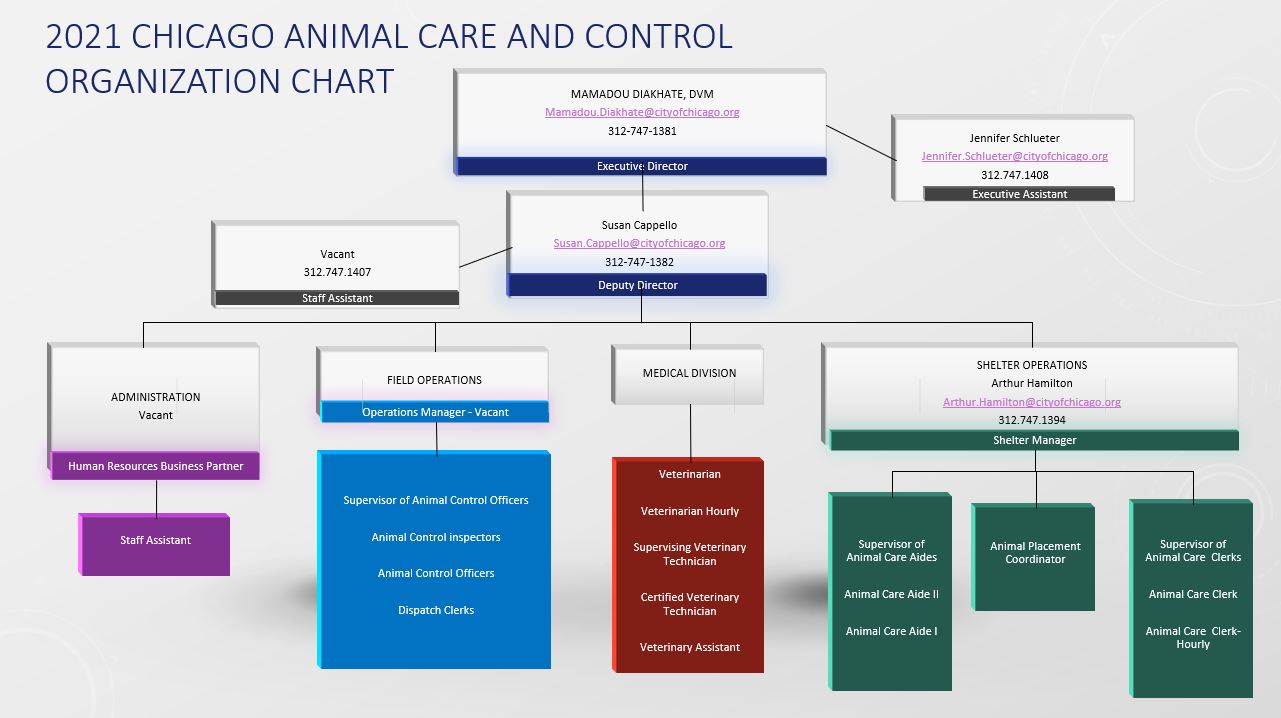 Animal Care and Control's Organizational Chart