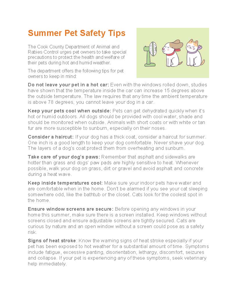 Warm Weather Safety 