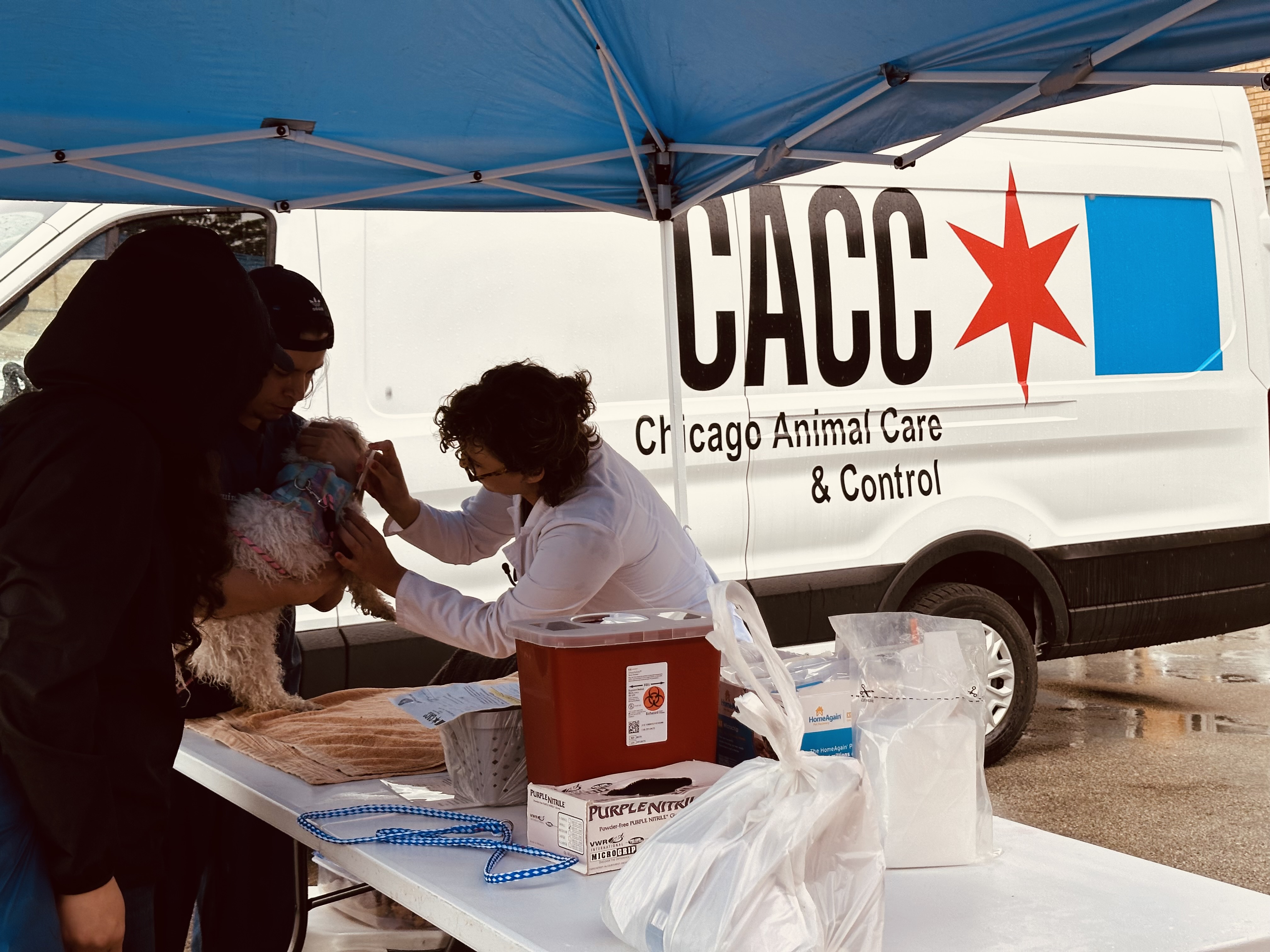 Veterinarian Vaccinating Pet