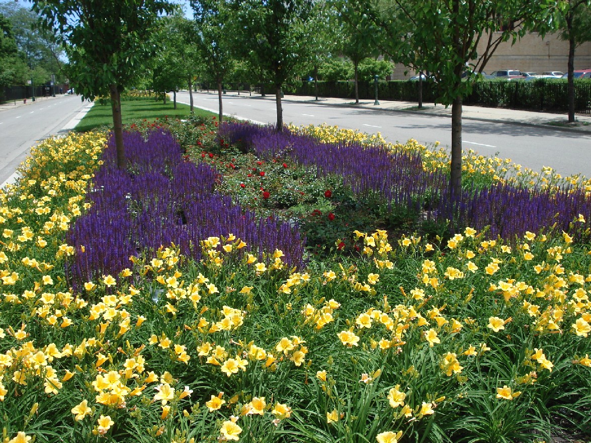 35th Street median