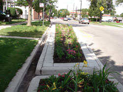 Traffic Calming photo