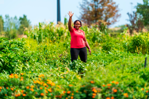 Urban Growers Collective in Chicago's South Chicago neighborhood