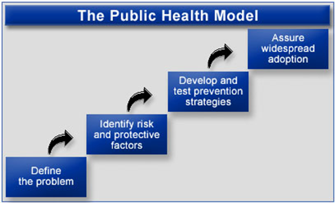 The Public Health Model - flow chart