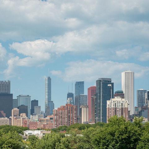 Intro Pic - Initial Pharmaceutical Representative License Chicago skyline, North Shore