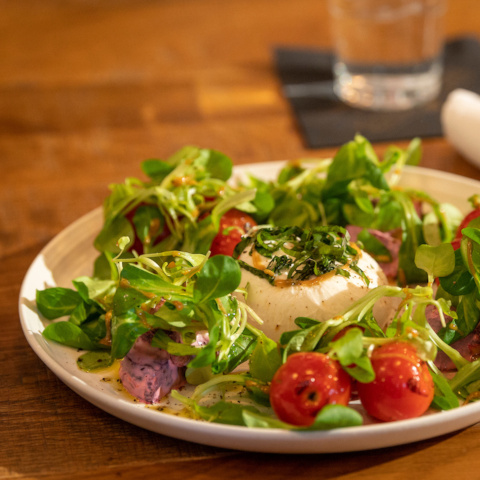 Intro pic - Food Protection Services plated salad at a restaurant