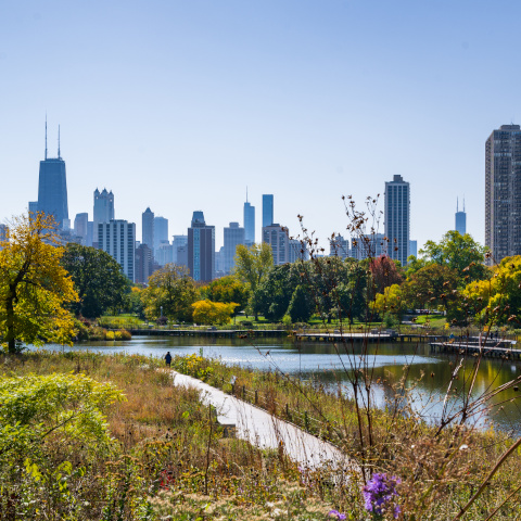 Chicago skyline from South Pond