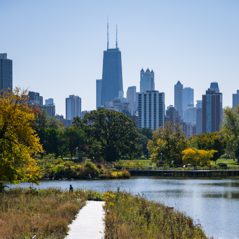 Intro Pic - Gender-Based Violence Chicago skyline from South Pond
