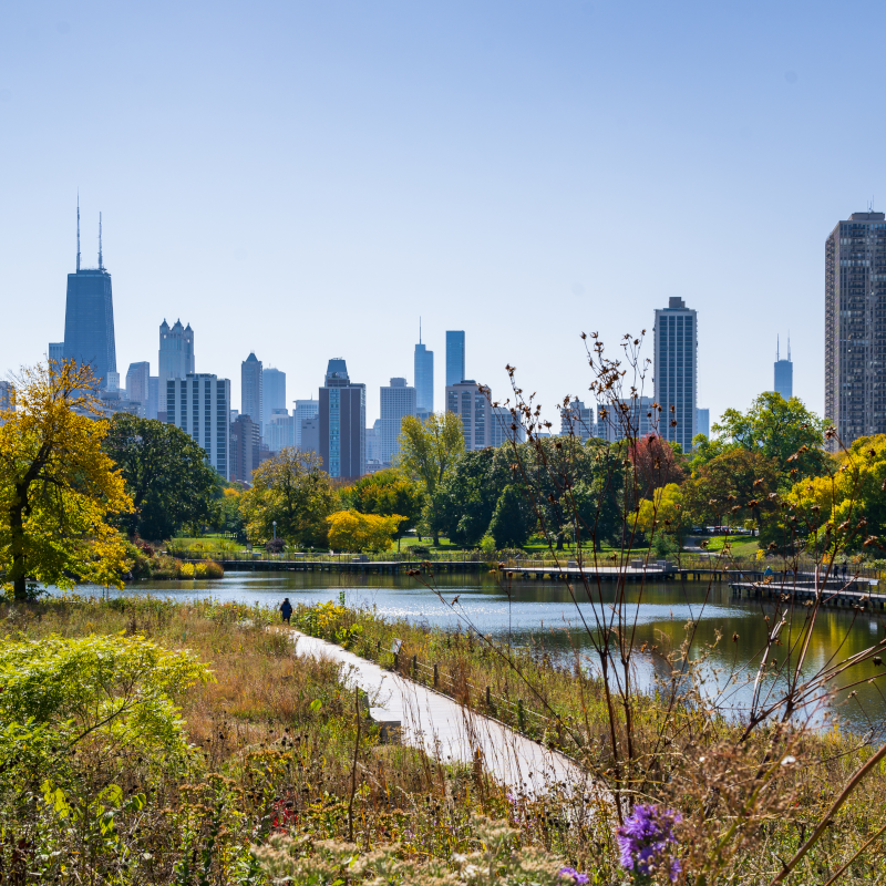 Chicago from South Pond Chicago from South Pond