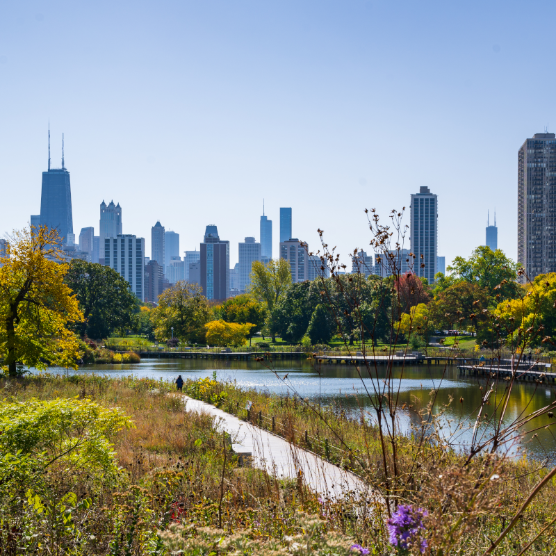 Chicago from South Pond