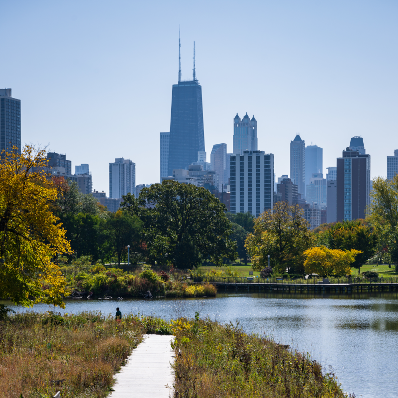 Chicago skyline from South Pond