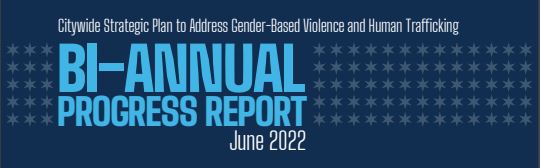 Link - GBV Bi-Annual Progress Report - June 2022