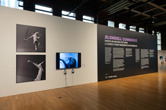 Blondell Cummings: Dance as Moving Pictures
