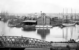 The Great Chicago Fire in Focus