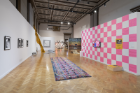 In Flux: Chicago Artists and Immigration