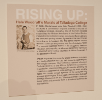 Rising Up: Hale Woodruff’s Murals at Talladega College