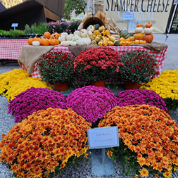 Chicago Farmers Markets