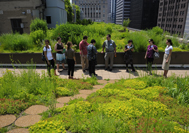 City Hall Rooftop Garden