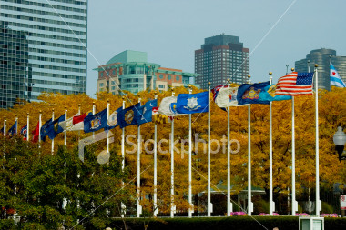 Image of row of flags