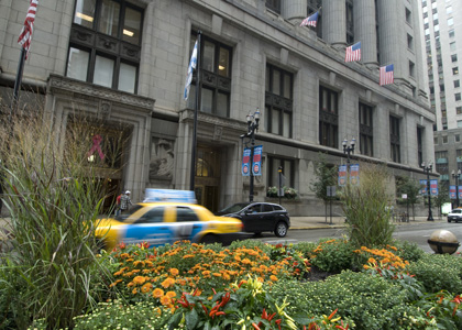 City Hall in the Fall Image