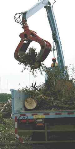 Forestry "Clam" collects heavy tree debris