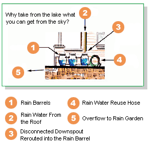 Illustration of a house with rain barrels to collect the rain from the downspouts.