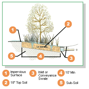 Cross section of a slope showing how trees and plats alow ground absorption of rain water