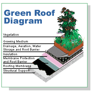 Illustrated cross-section of the different layers of materials that are used to create a Green Roof.