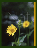 Nature and Wildlife Plan Cover