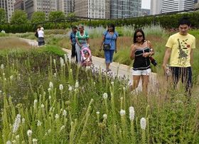 Family walking in Millenium Park