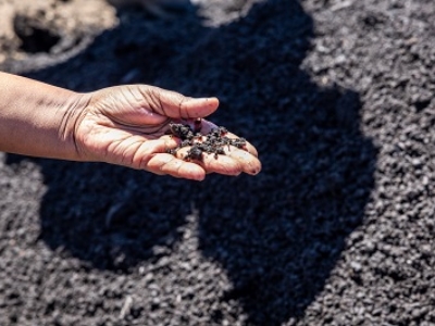 The finished compost is sold as a soil amendment.