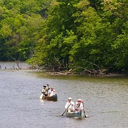 two boats with people rowing