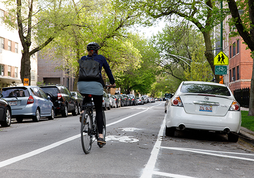 Person biking away from viewer in bike lane on street lined with cars and trees