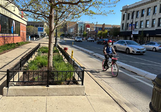 Person biking towards viewer in a bike lane that is buffered with wide striped areas creating more space between the parking lane and the travel lane