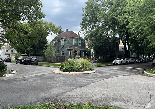 Street with traffic circle in the center of intersection with plants growing in it