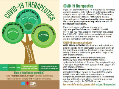 COVID-19 Therapeutics Handout thumbnail