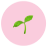 icon - seedling