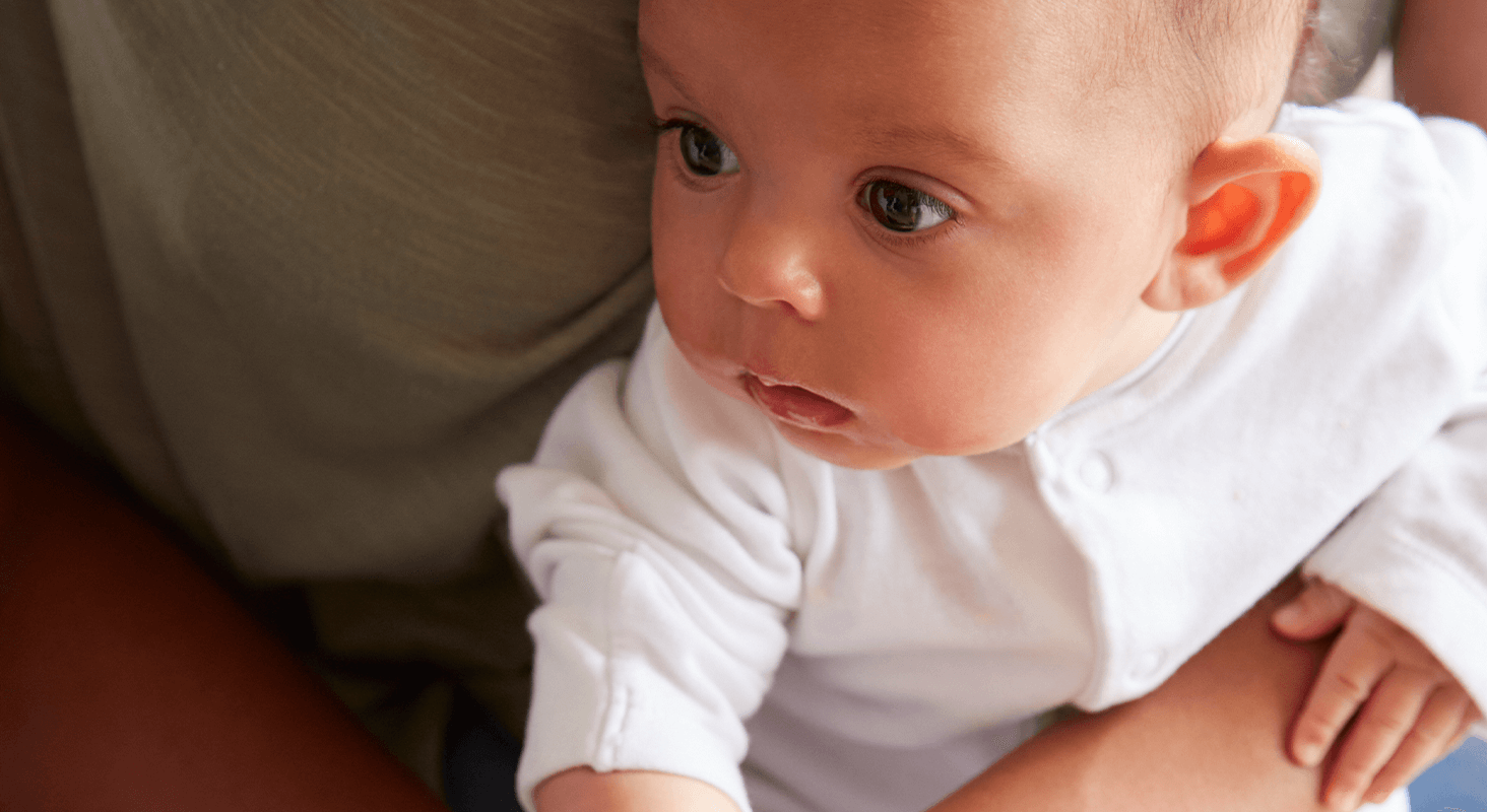 alert baby held on a lap
