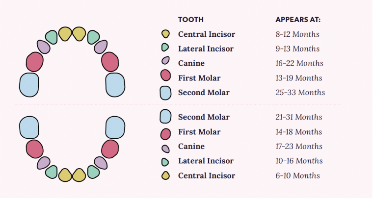 Baby’s Oral Health