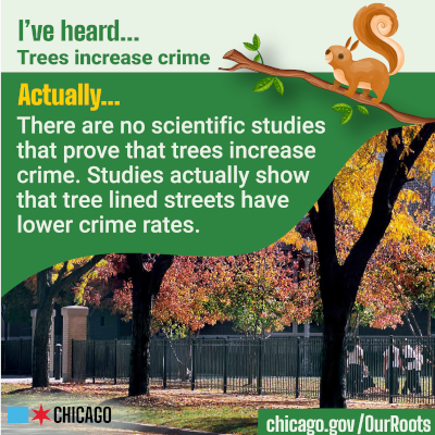 Social Media - I’ve Heard… Trees Increase Crime