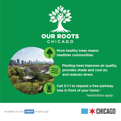 Social Media - Our Roots Chicago