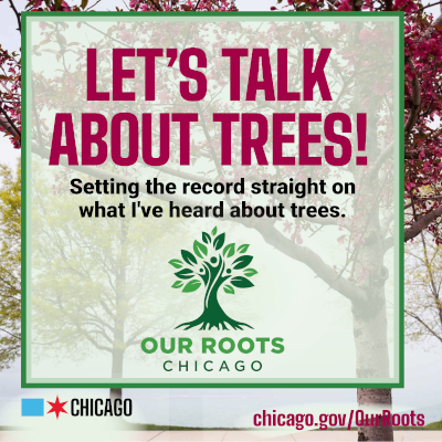Social Media - Let’s Talk About Trees!
